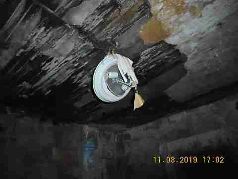 2447 Clements (28)_m.jpg